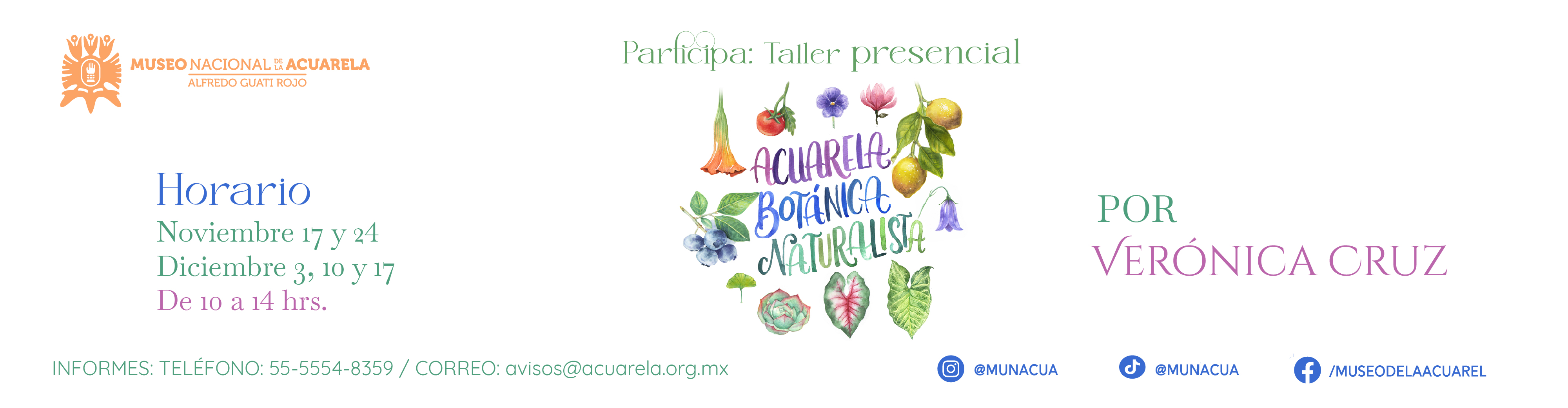 Taller acuarela botánica