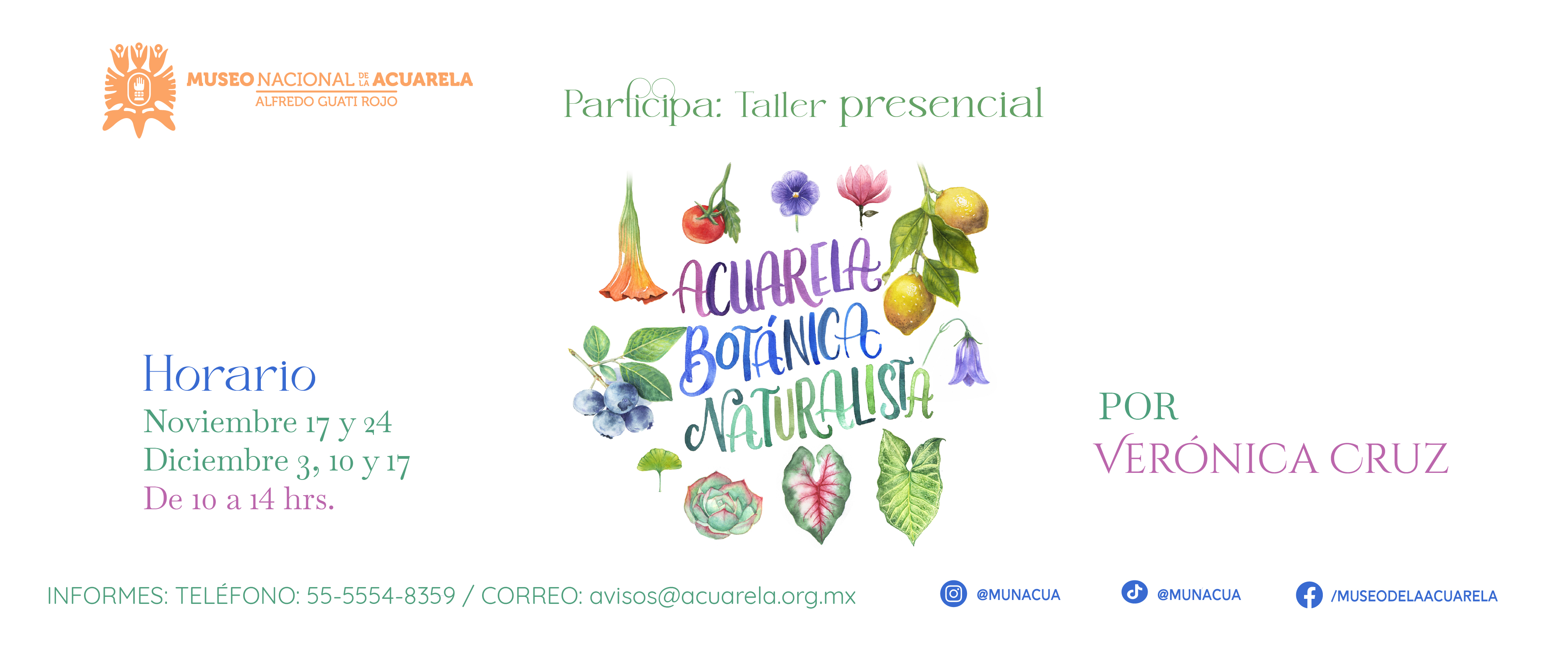 Taller acuarela botanica
